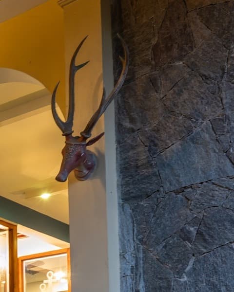 Antler mount above the stone entrance archway