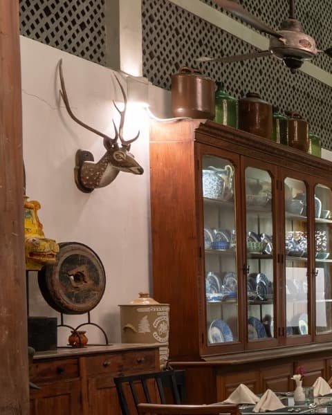 Mounted spotted deer head above an antique cabinet